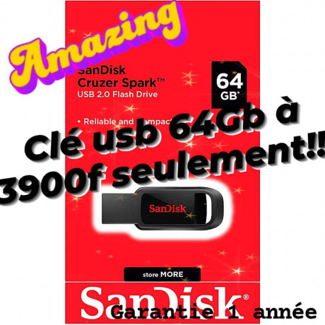 cle-usb-64gb-big-0